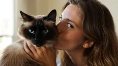 Jak kočky dávají najevo náklonnost a kdy vám opravdu důvěřují